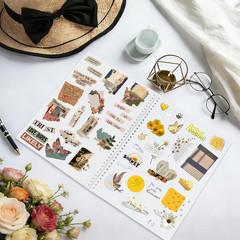 Reusable Sticker Book Collecting Album Sticker Collection Storage Book for Adult