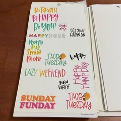 The Happy Planner Loose Partial Sticker Pages 120 Count