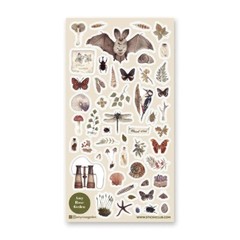 The Naturalist – Sticker Sheet – Insects – Retro – New in Packaging