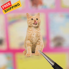 Cat Sticker Book, 30 Pages Over 800 + 10pcs Creative Kawaii Style 1