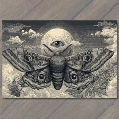 STICKER Lunar Moth Celestial Eye Moon Occult Engraving Gothic Surreal