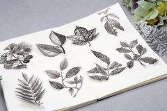 flower sketch vellum sticker | calla lily flower Silver foil black white