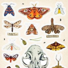 Nature Study Stickers – Animal Skull, Moths, & Insects Sticker Sheet