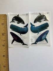 Lot of 2 Modules WHALE Photoessence Metallic Stickers Mrs. Grossmans 6 Stickers