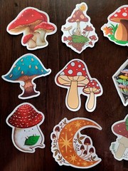 STICKERS x 10 Shrooms Positive Be A Nice Human Moon Mushrooms Frog FEBF6
