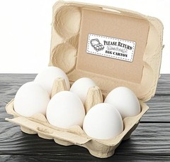 Self-Adhesive Farm Fresh Egg Carton Labels – 800 Stickers, Rectangular Design