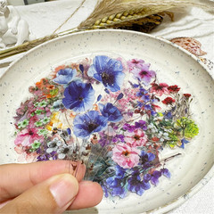 Natural Flower Stickers for Scrapbooking, Transparent Self-Adhesive DIY Supplies