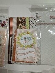 NIP LOT OF 7 PKGS MINI CRAFT BAGS, WEBSTER’S PAGES, ADRIENNE LOOMAN-SCRAPBOOKING