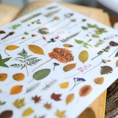 Rub-on stickers | 3 sheets watercolor green leaf botanical flower floral leaves