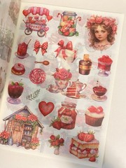 6.5″ x 9″ Scrapbook & Paper Crafting Stickers – 2 Bks- 24 Pgs/Book