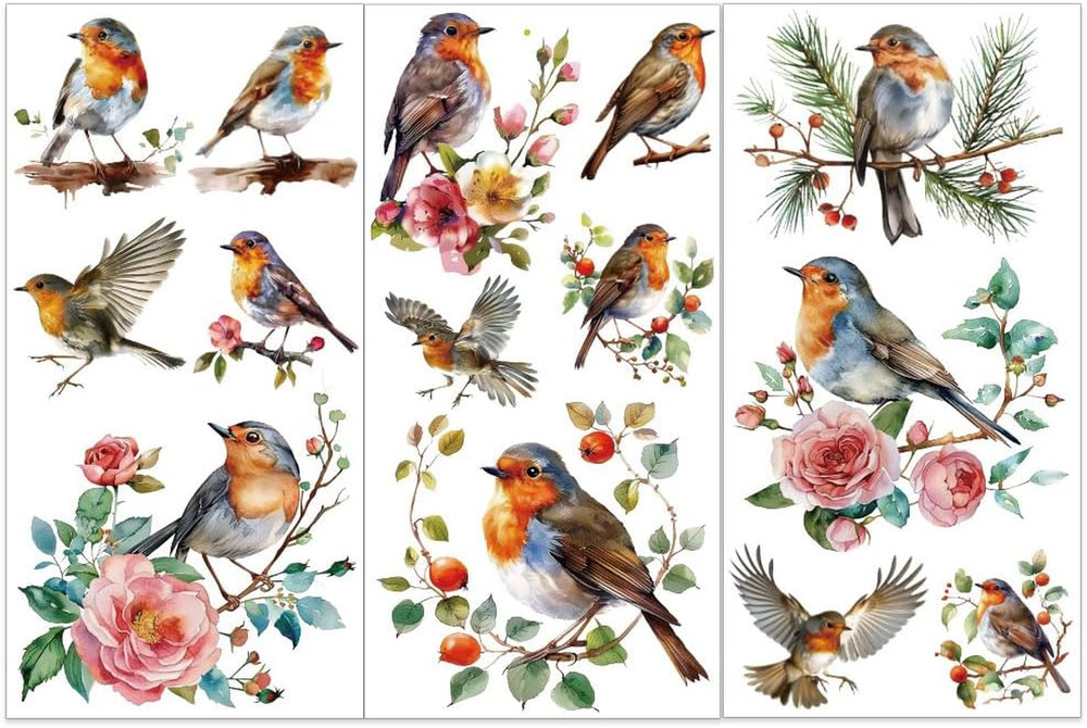 3pcs/Set Bird Rub on Transfers for Furniture and Crafts 6×12 inch Robin Decor Tr
