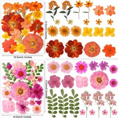 269PCS Dried Pressed Flowers for Resin Craft – YouthBro Real Nature Flowers S…