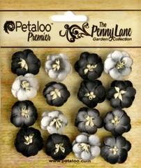 Forget Me Nots BLACK GREY 16 Paper Flowers 20mm across Penny Lane Petaloo XC