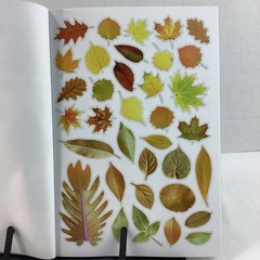 Collage Books Create Your Own Collage Cut & Paste Junk Journal Create By Numbers