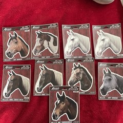 Vintage Advanced Graphics Lot Of 9 Horse Stickers