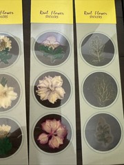 Lot Of 12 REAL Pressed Flowers Stickers Vintage Victorias Garden Scrapbook-36
