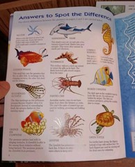 Steve Parish Activity Books Lot of 4 Stickers Play & Learn Animals Sharks