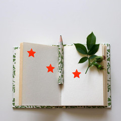 Hybsk 1″ Fluorescence Red Star Shape Paper Stickers Packaging Seals Tag Total 50