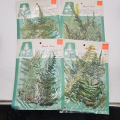 Lot 4 pkgs CHEMICAL STAINED pressed FERNS Taiwan Scrapbooking Paper Crafts NEW