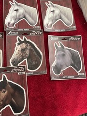 Vintage Advanced Graphics Lot Of 9 Horse Stickers