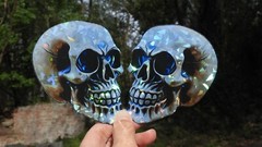 Pack of 2 – 4″ HOLOGRAPHIC Facing SKULLS Stickers BIG 4 inch skull STICKERS