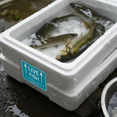 60PCS Live Fish Stickers Shipping Supplies,Please Handle with Care This Side …