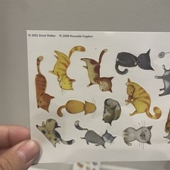Cat Stickers David Walker Art 2005 Peaceable Kingdom Retro Kitties Kitty Orange