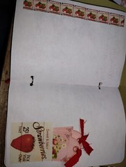 Cute Vintage Strawberry Junk Journal Scrapbook USA Seller