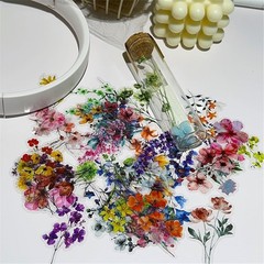 50 Pieces Natural Flower Themed Stickers for Scrapbooking, Self-Adhesive Scra…