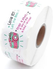 Pink Camera Stickers, 3×5 inch, 500 pcs for Retail & Gifts