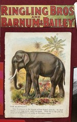 Circus Carnival Ephemera Lot Junk Journal scrapbooking 64 + pieces Kit Bundle