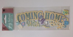 RARE Jolee’s Coming Home With Baby Scrapbooking Title Stickers