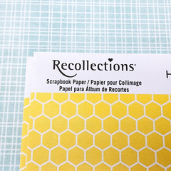 Michaels Scrapbook Paper Lot 12×12 Recollections 50 Sheets Single Sided d