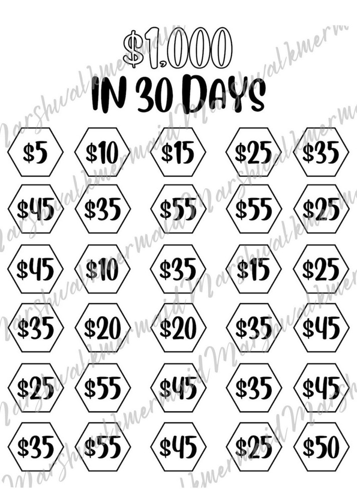 $1,000 in 30 Days Money Savings Challenge Planner Sticker Sheet, Black/White