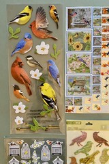 Lot of BIRD Stickers! Sticko, Studio 112, Etc