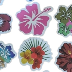 STICKER PACK – Pack #29 – 25 Pieces – Hibiscus Flowers