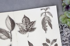 flower sketch vellum sticker | calla lily flower Silver foil black white