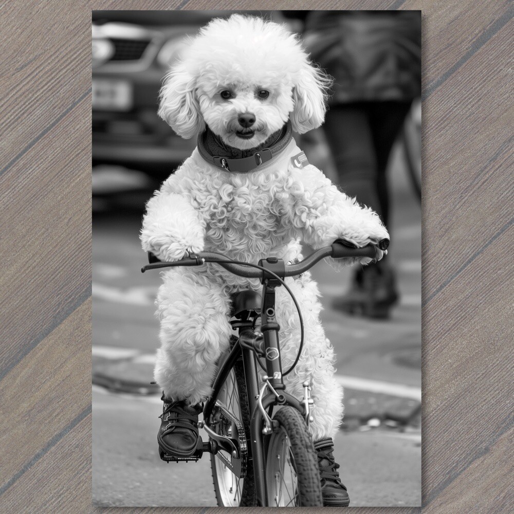 STICKER White Poodle Riding Bike Bicycle Funny Cute Strange Dog Weird Puppy Fu