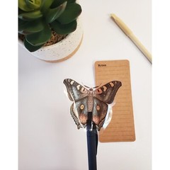 Dark Moth Sticker | For Computers, Journals, Phones | Clear Transparent Vinyl