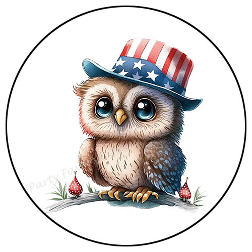 PATRIOTIC OWL JULY 4TH ENVELOPE SEALS LABELS STICKERS PARTY FAVORS