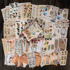 200 Pieces Vintage Scrapbook Supplies Pack for Junk Journal Planners DIY Paper S