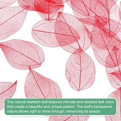 100-Pack Skeleton Leaves, Natural Rubber Tree Leaves Vein[4-6cm, Red]
