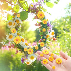 100 Pcs Resin Daisy Decor Daisy Embellishment Epoxy Sunflowers Craft Decorations