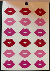 RECOLLECTIONS VALENTINE’S DAY STICKER BOOK 328 PC STICKERS 12 SHEETS ROMANCE