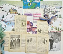 VTG Ephemera New Years Eve Winter Junk Journal Audubon Bird Bk Plates Pack #80+