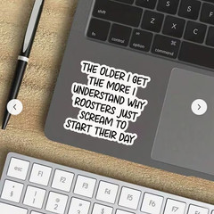THE OLDER I GET THE MORE I UNDERSTAND ROOSTER STICKER JUNK JOURNAL PHONE PC A+