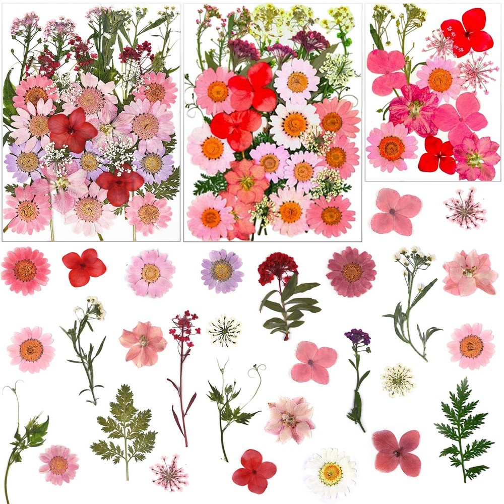 83 Pcs Pink Real Dried Pressed Flowers Natural Leave Petals for DIY Resin Mol…