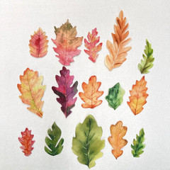 Autumn Oak Leaf Stickers Scrapbooking Junk Journaling Collage