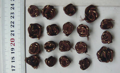 Satin Metallic ROSE Packs – 19 BROWN with Gold Trim – 12-14mm Across VerCFrnt
