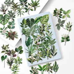50-Piece Transparent Waterproof Greenery Plant Stickers for Scrapbooking, Journa
